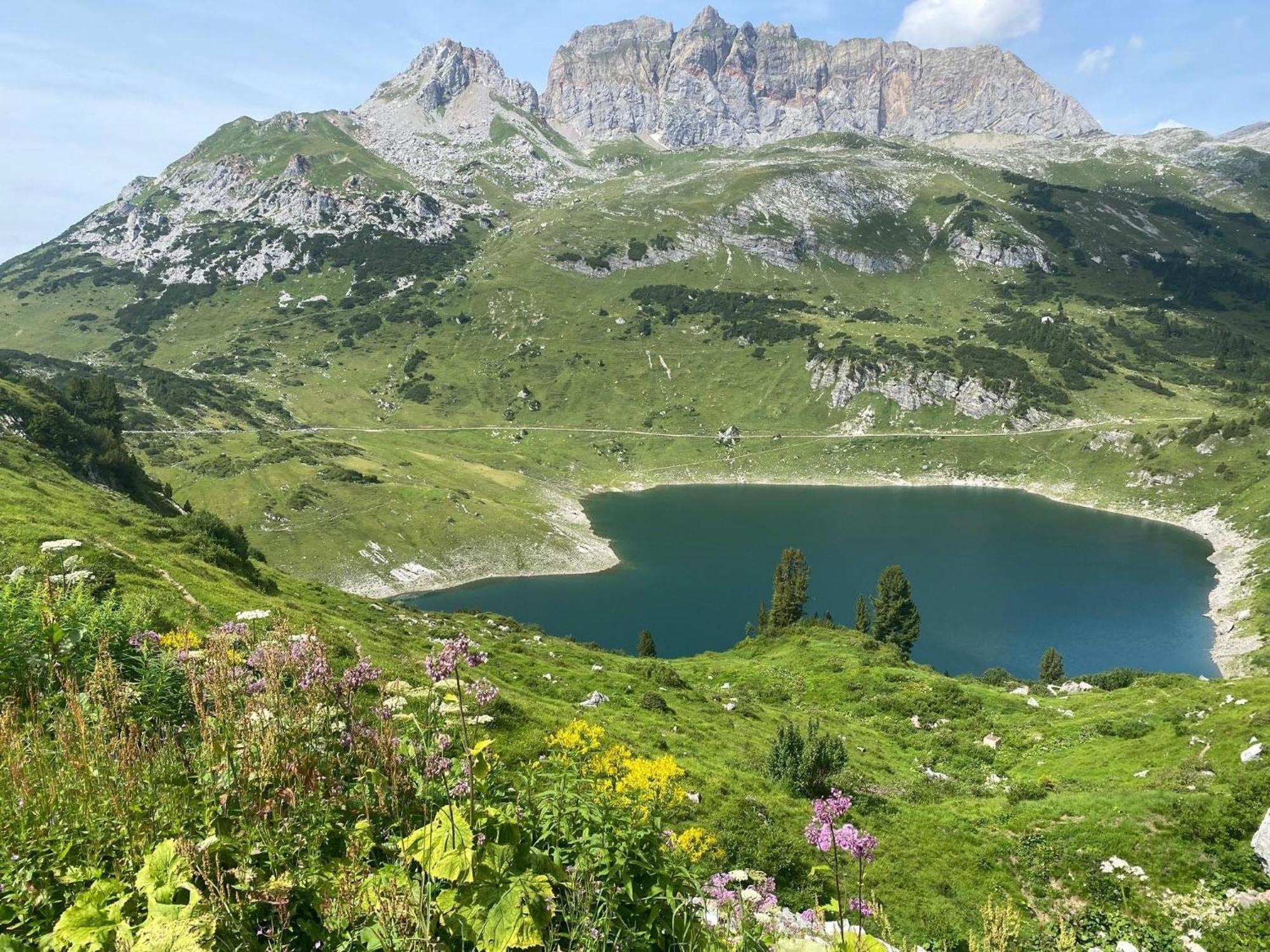 Haus Maschol Apartment Wald am Arlberg Bagian luar foto